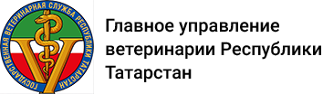 Epsylon
